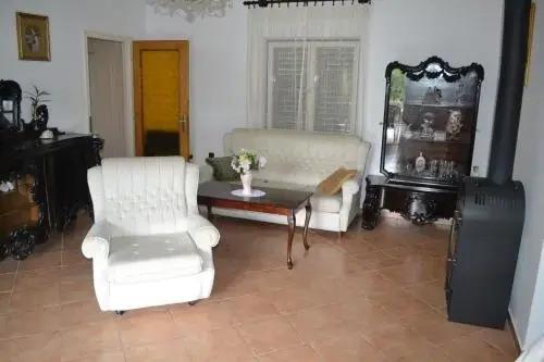 Muller Haz - главное фото