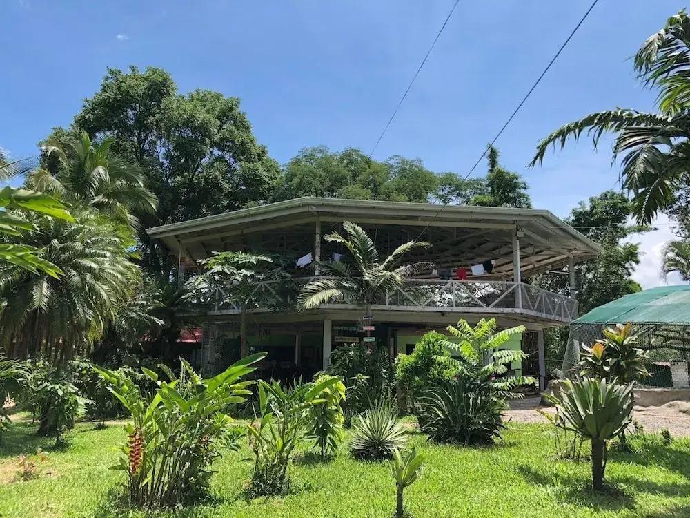 Rescue Center - главное фото