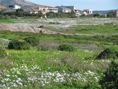 Lagoon Lookout Langebaan - главное фото