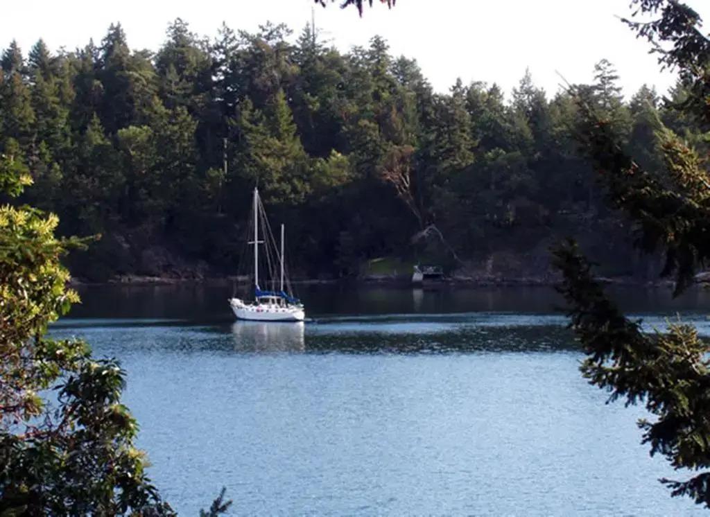 Arbutus Point Oceanfront B & B - главное фото