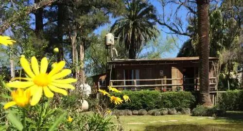 Verde Lujan - главное фото