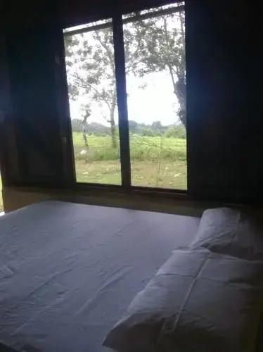 Finca Iza - главное фото