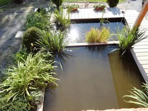 Macar - главное фото