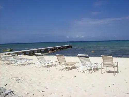 Pappagallo 22 - главное фото