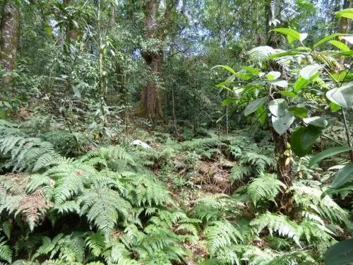 Cabañas El Coyote - главное фото