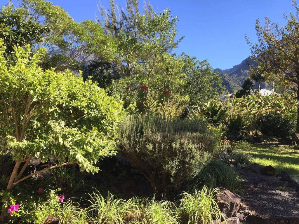 Studio Platane - главное фото