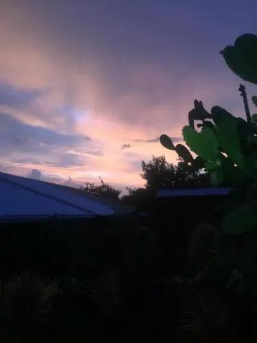 Campamento & Hostel Cafeaventura - главное фото