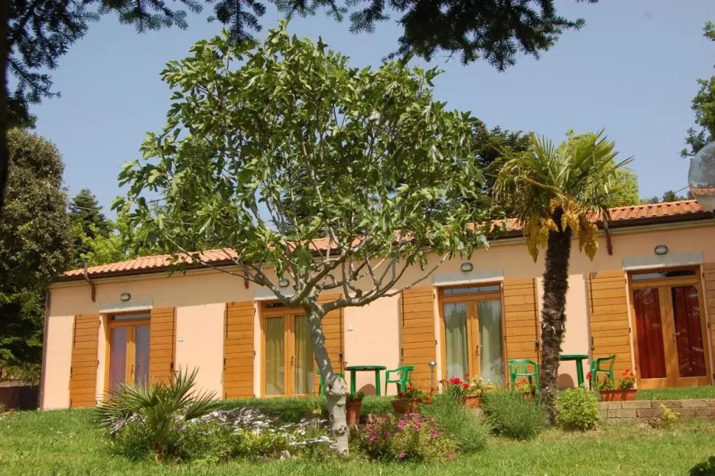 Poggio Del Conero - главное фото