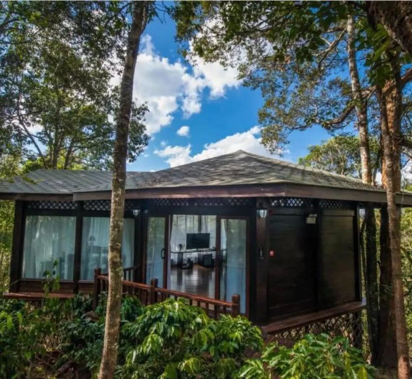 Red Panda Manor Pu’re - главное фото