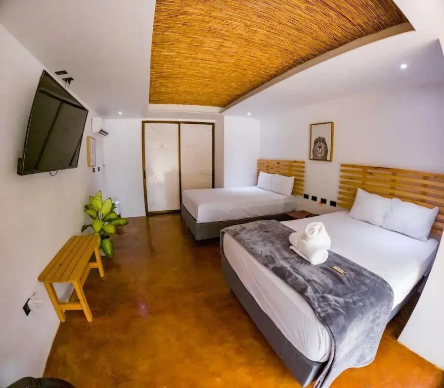 Avita Lodge Hotel de Montaña - главное фото