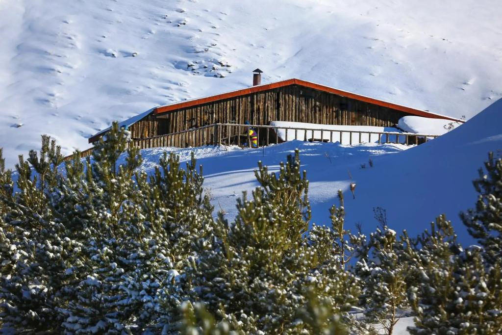 Polat Palandoken - главное фото