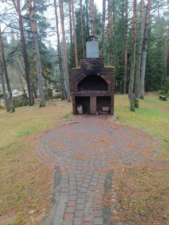 Динамо - главное фото