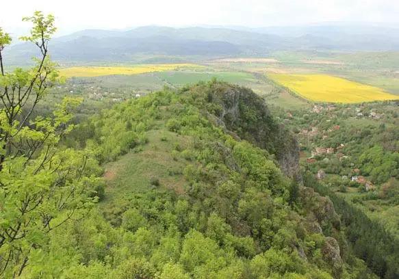 Zelenigrad Guest House - главное фото