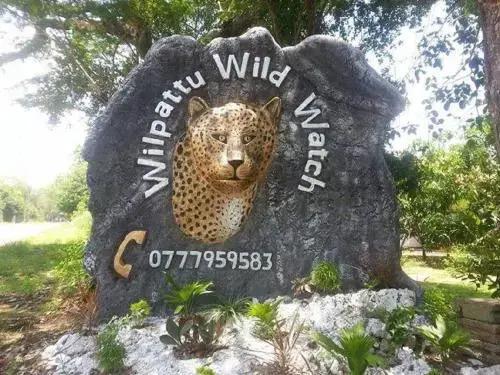 Willpattu Wild Watch - главное фото