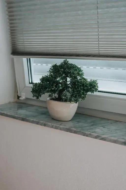 Three Corners - главное фото