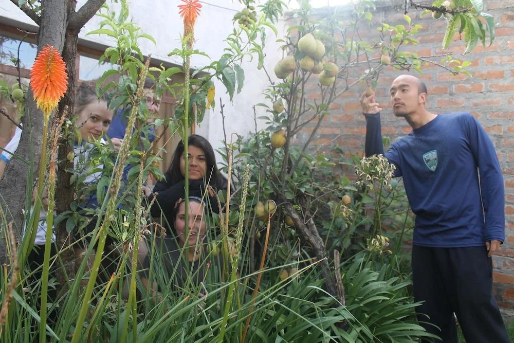 Samay Guesthouse - главное фото