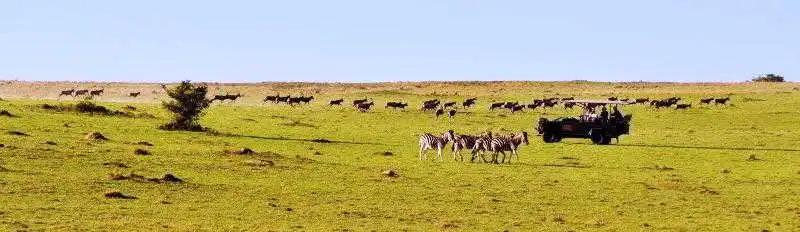 Pollards Inn Hotel, Kwantu Game Reserve - главное фото