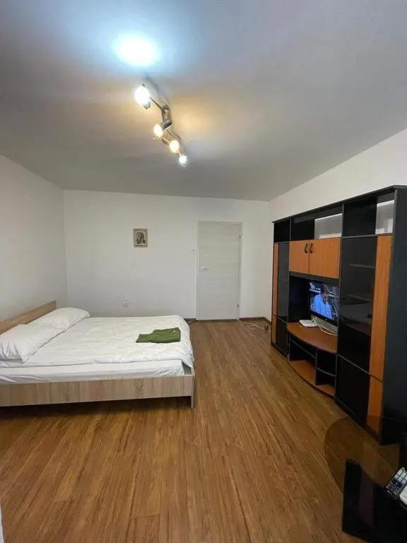 Bega Circumvalatiunii 1 Room Apartment - 3 - главное фото