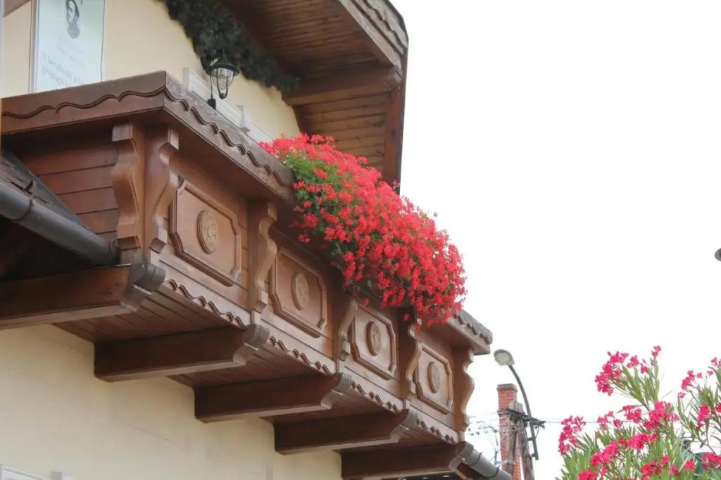 Margaréta Panzió - главное фото