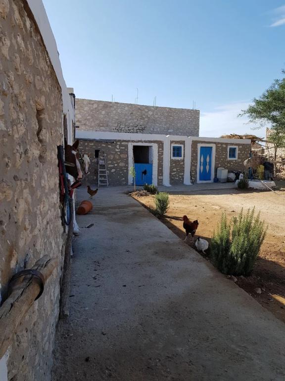 Ranch de Sidi kaouki - главное фото