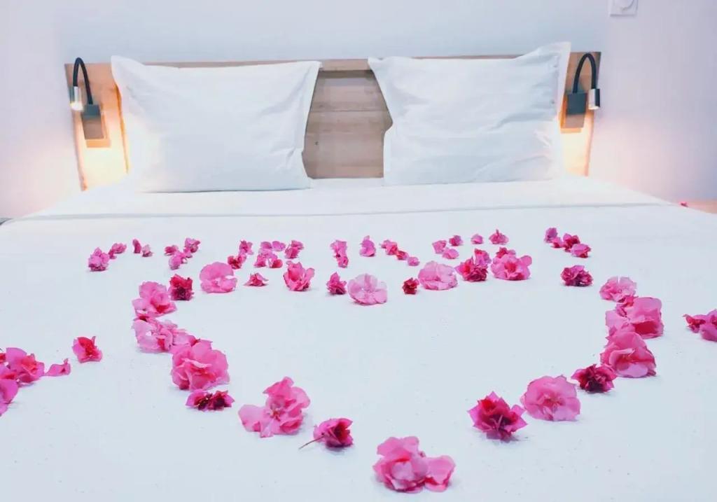 2.0 Hôtel Vanille - главное фото