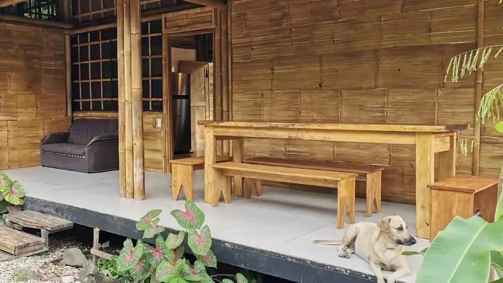 Bamboo Surf House - Hostel - главное фото