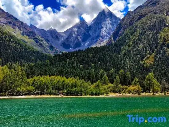 Sheye Boutique Homestay - главное фото