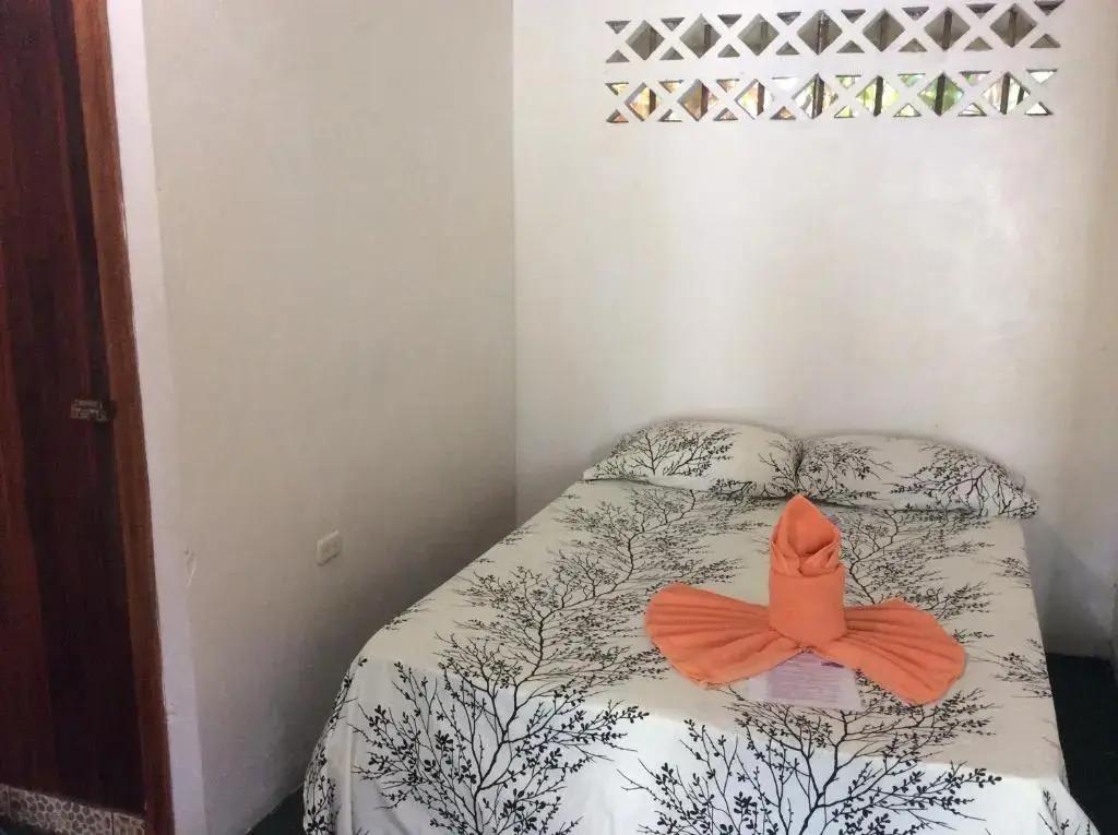 Cabinas Balcon de Mar Tortuguero - главное фото