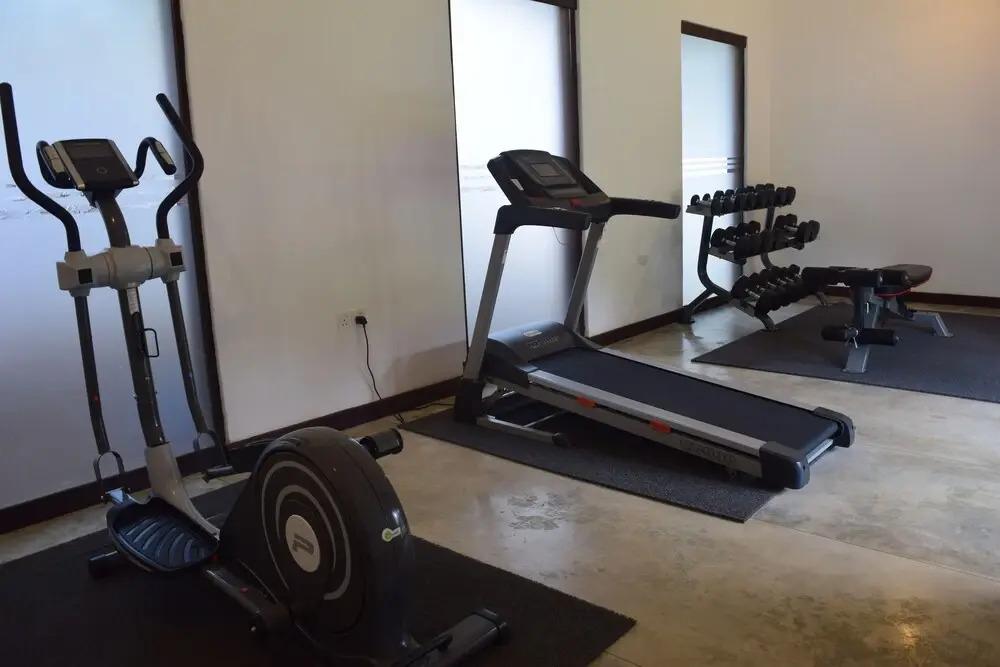 Sigiriya Jungles - главное фото