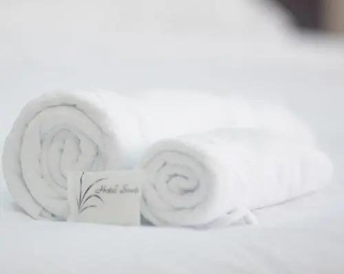 Palau Paradise Hotel - главное фото