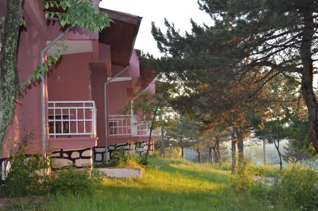 Yagona Termal & Spa - главное фото