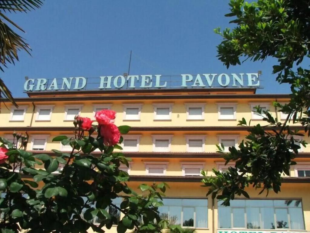 Grand Hotel Pavone - главное фото