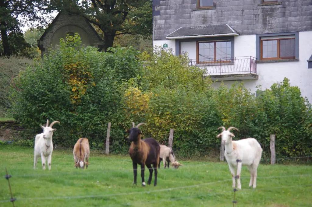 L'Autre Temps - главное фото