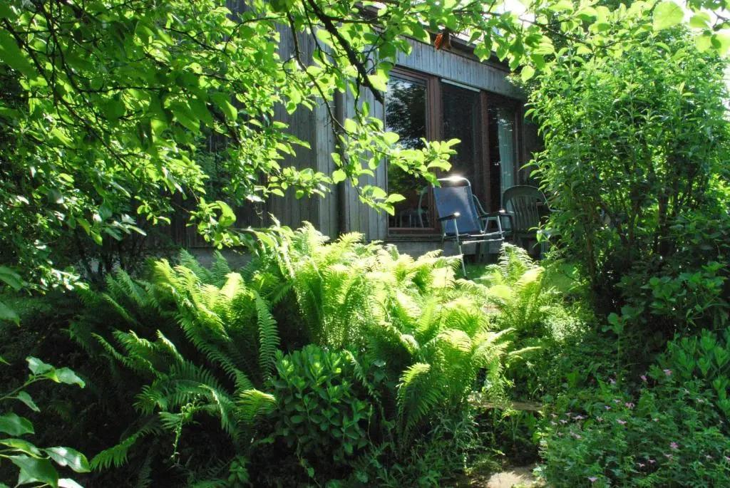 La petite source - главное фото