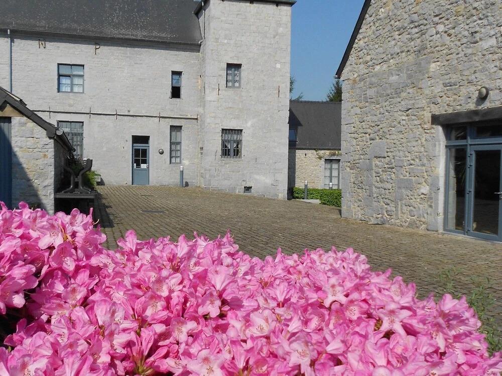 This Cottage is a Real Treasure in the Ardennes - главное фото