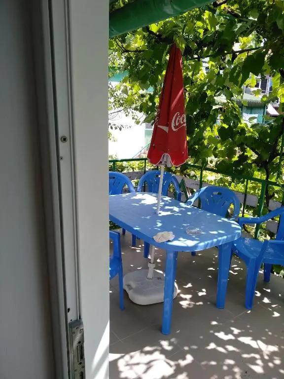 Casa Pinciuc Costinesti - главное фото