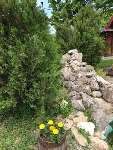 Teremok Guest House - главное фото