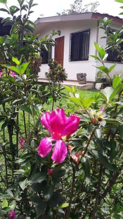 Rancho La Botija Hotel de Montaña - главное фото