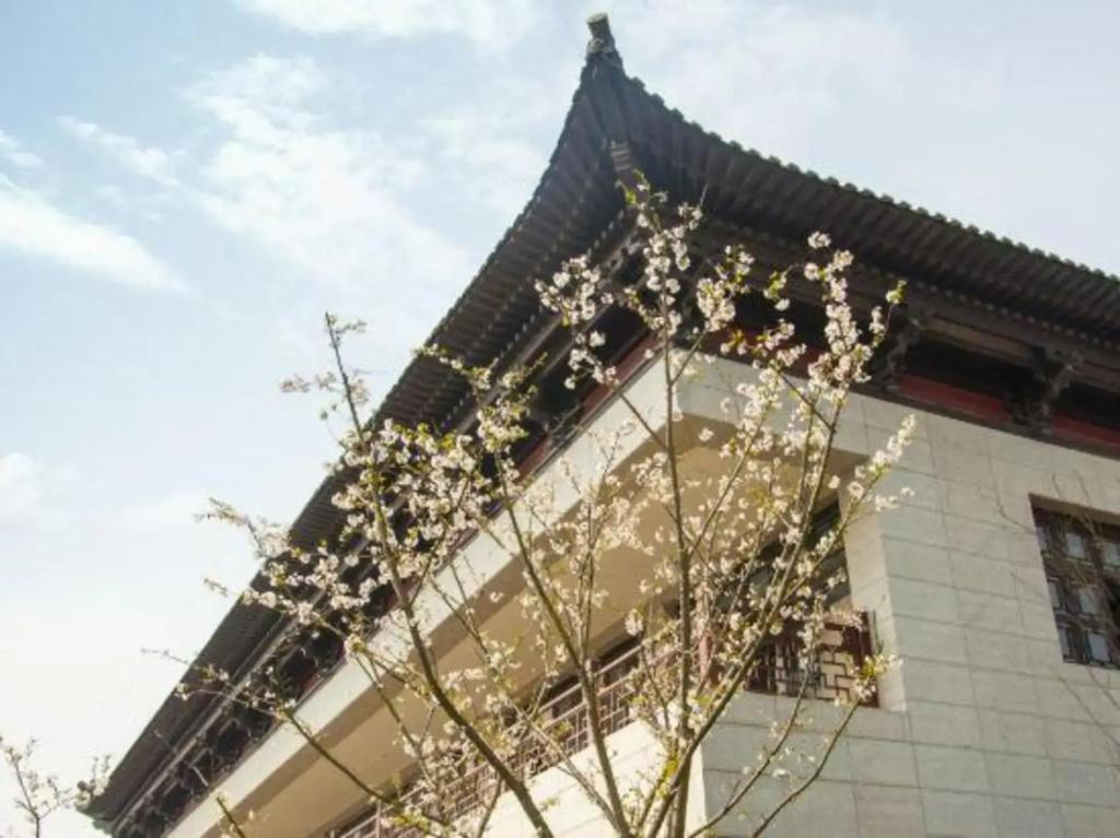 Jiashan Yunlan Bay Honglu  Yuanlin Hotel - главное фото