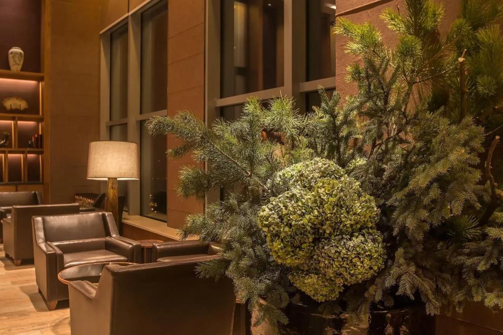 Aoluguya - главное фото