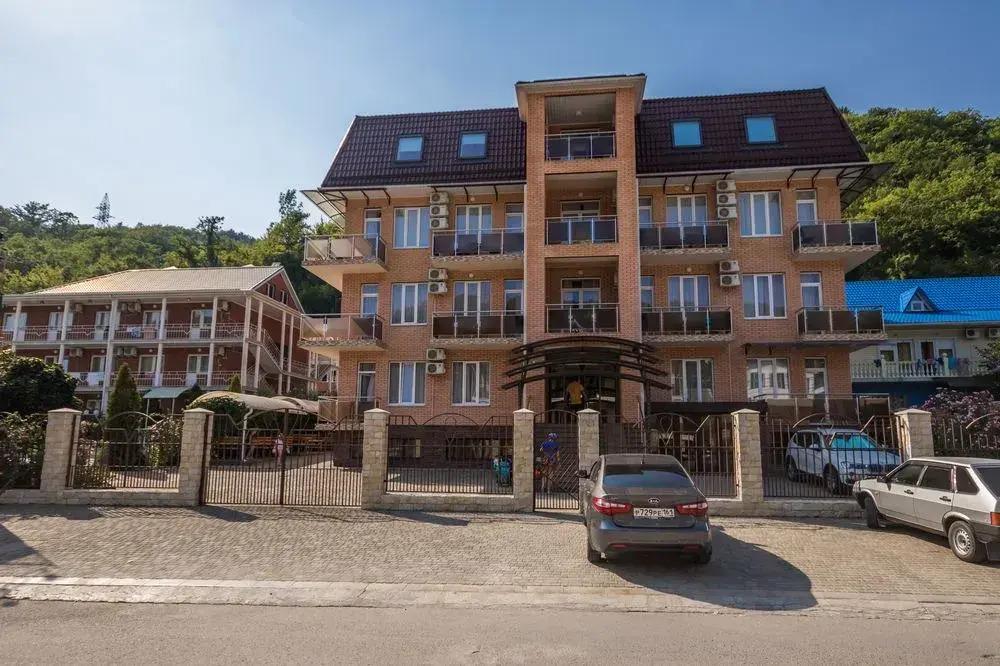 Чайка - главное фото