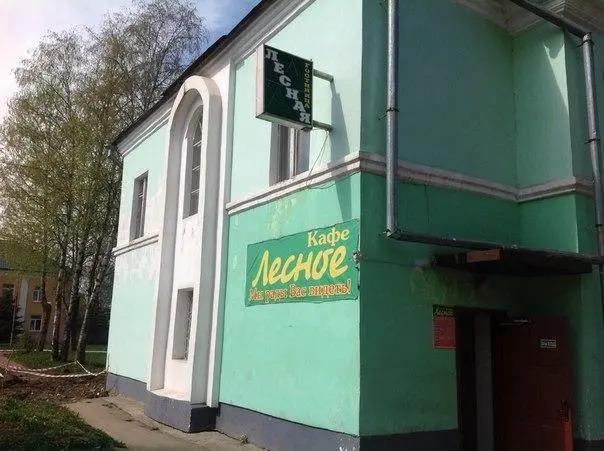 Лесная - главное фото