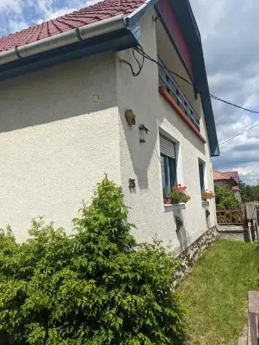 Tulipan Haz - главное фото