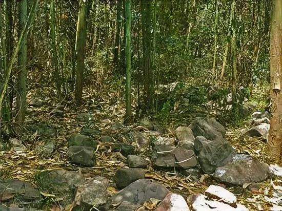 Checcollo Bungalows - главное фото