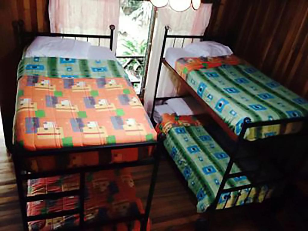 Jaguarundi Lodge - главное фото