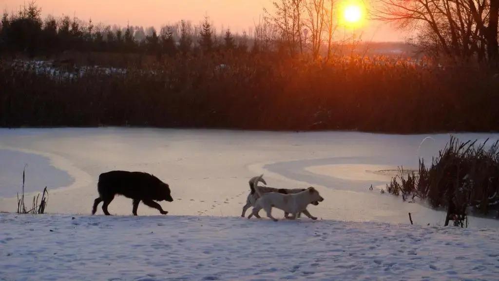 Tündérkert - главное фото