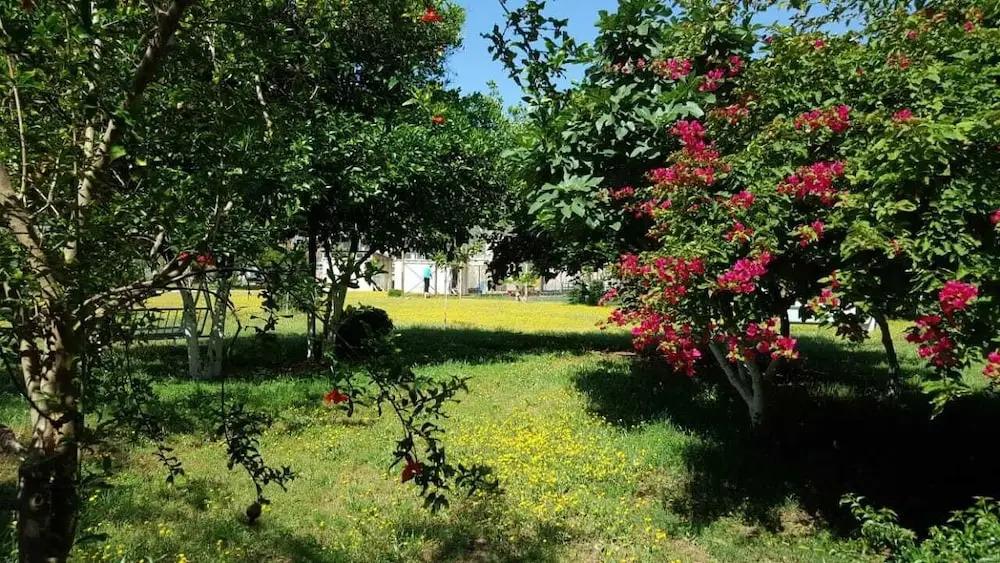 Saint Francis Bed & Breakfast - главное фото