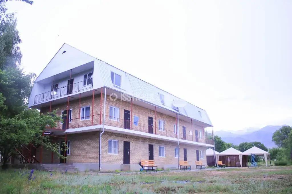 Delfin Murok - главное фото