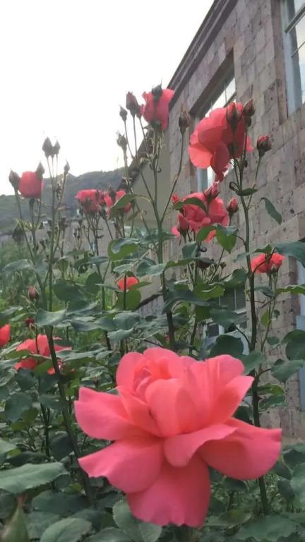 Hotel Yan Hostel - главное фото