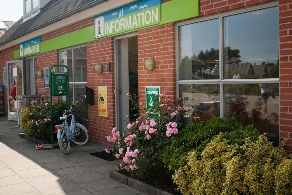 Råbjerg Mile Camping & Cottages - главное фото